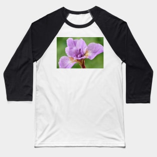 Iris Baseball T-Shirt